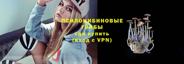 гидропоника Балабаново